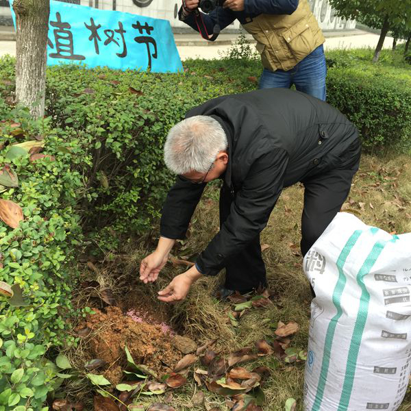 足球投注网站